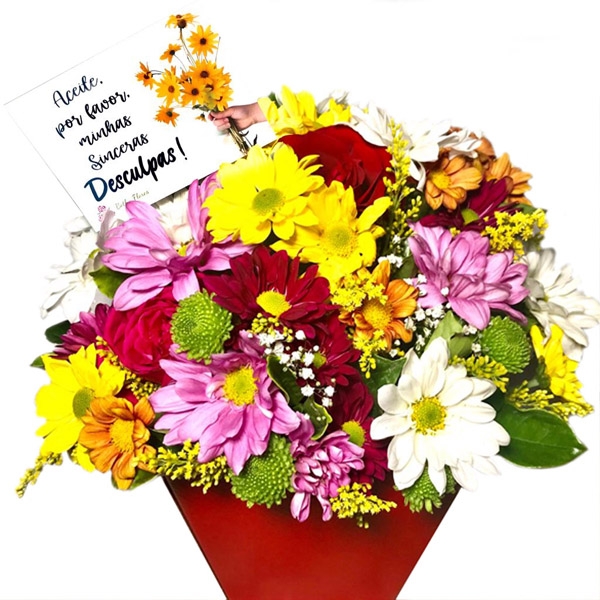 Flores do Campo com Mensagem de Desculpas
