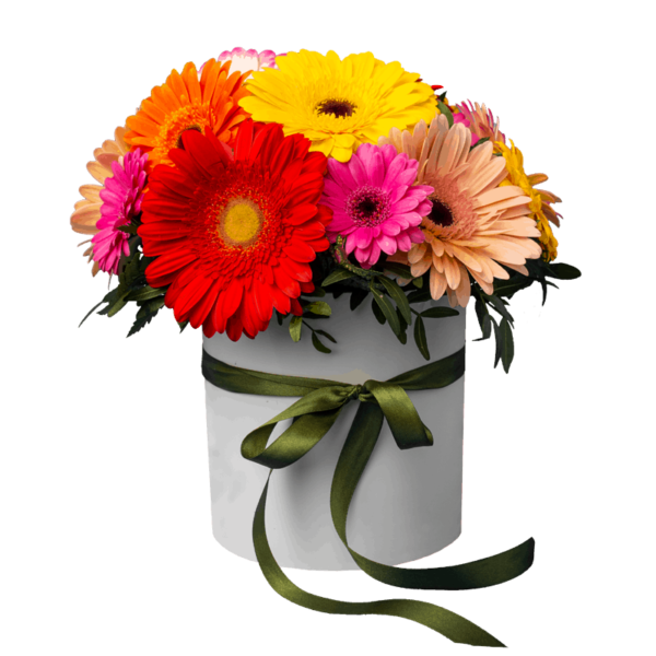 Caixa de Rosas Parabéns